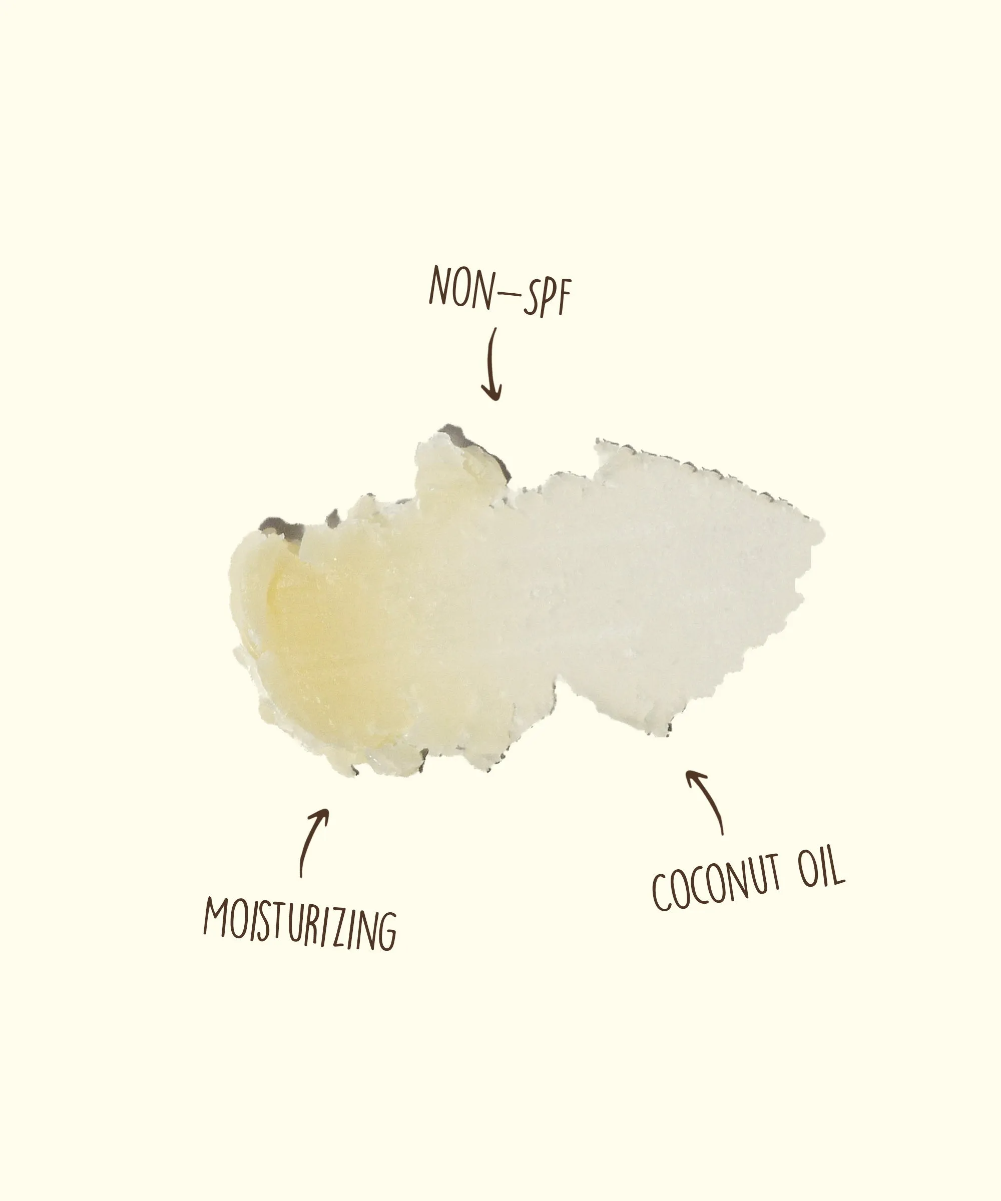 CocoBalm Lip Balm - Ocean Mint