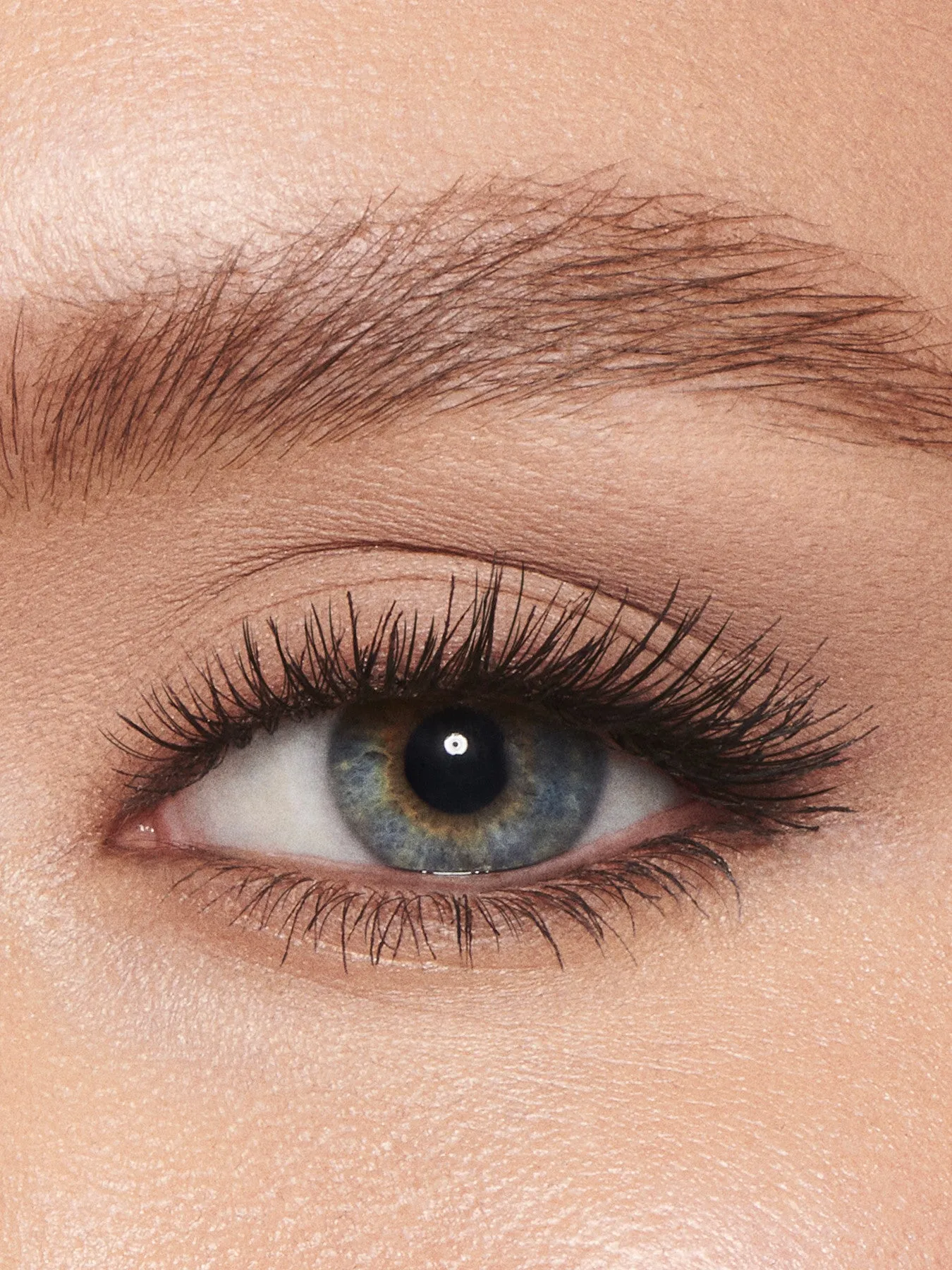 Legendary Brows