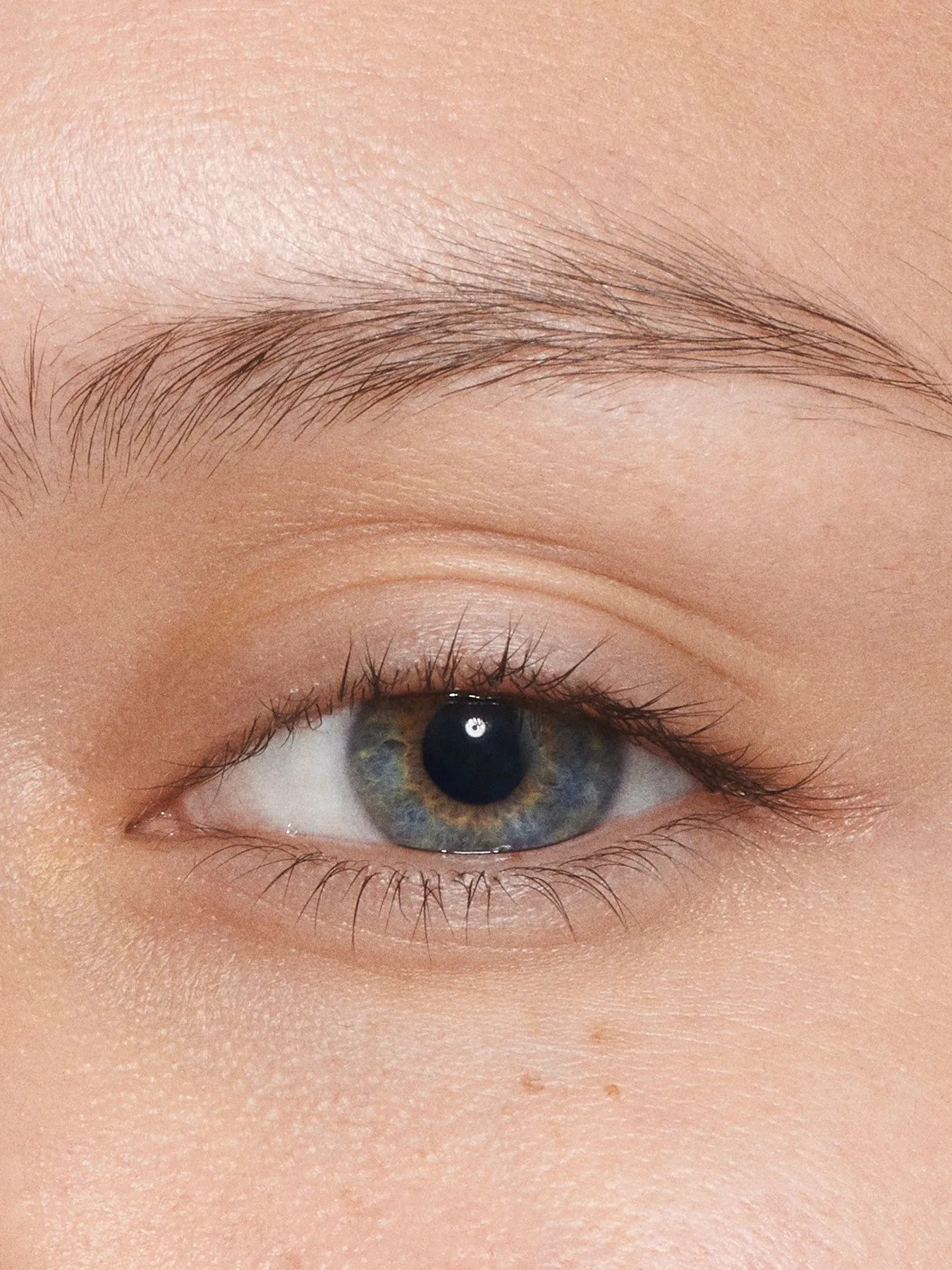 Legendary Brows
