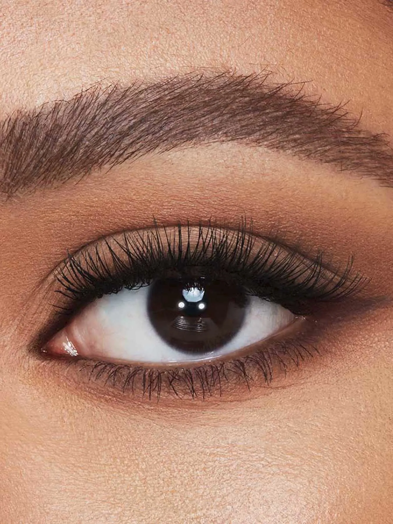 Legendary Brows