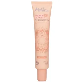 Source De Roses Bb 6 In 1 Perfecting Care - # Golden - 40ml/1.3oz